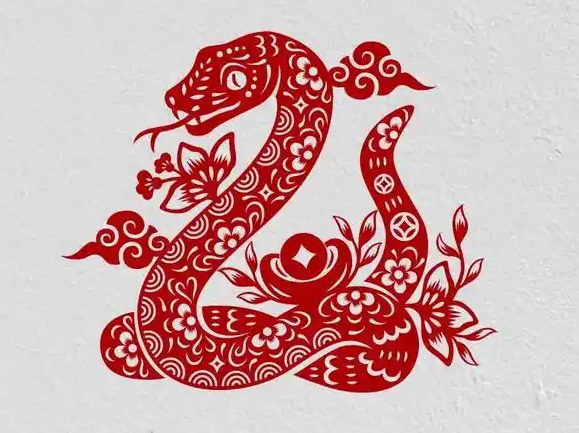 属蛇48岁开始走大运了吗,77蛇人最难熬的年龄