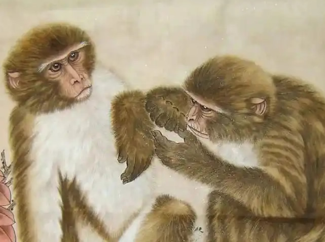 1968年属猴人命运全景解读：把握三大黄金年运，智慧应对人生挑战